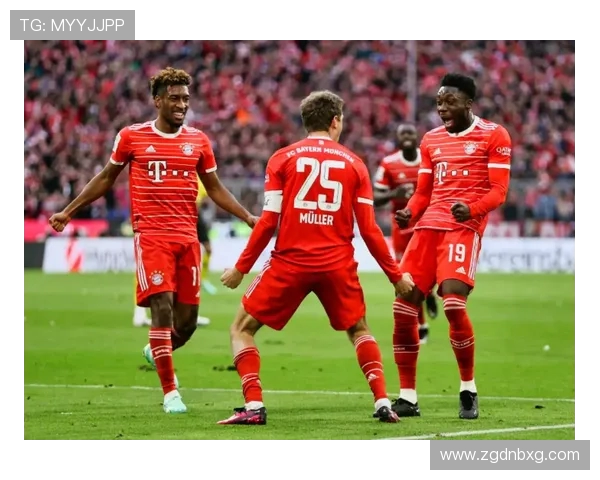 黄黑激情与红色王朝：德甲球迷忠诚度与文化底蕴的深层解析